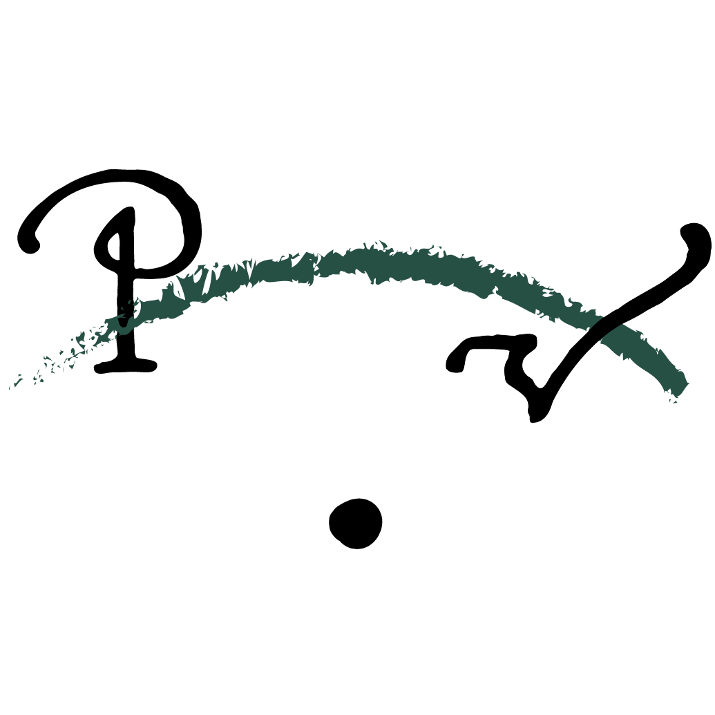 PAULA VASKA JURIDISKAIS BIROJS